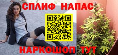 стафф Шебекино