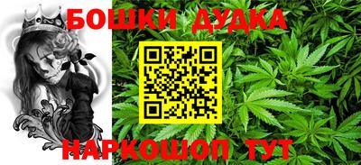 прущие грибы Ярославль
