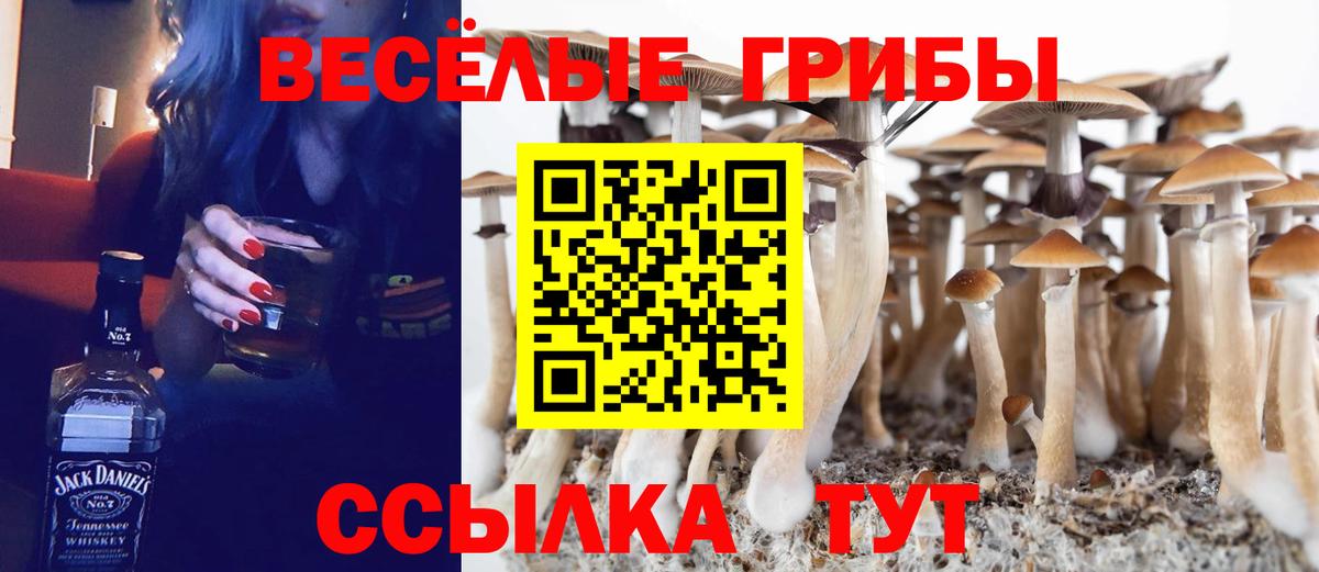 закладка  Вход с VPN  Белогорск  Псилоцибиновые грибы MAGIC MUSHROOMS  Галлюциногенные грибы мухоморы 