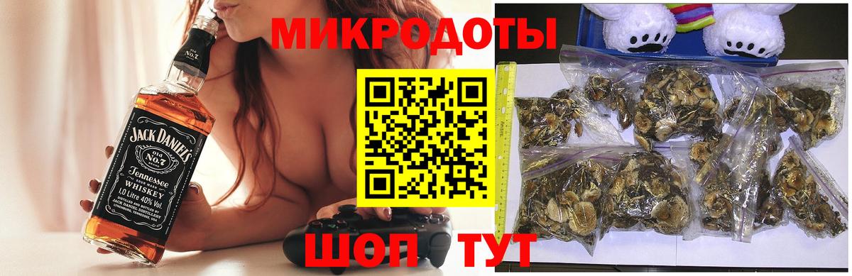 Галлюциногенные грибы Psilocybine cubensis Белогорск